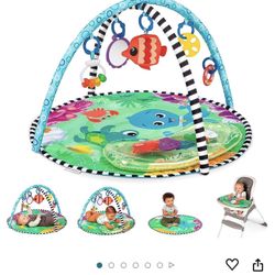 Baby Einstein Playmat 