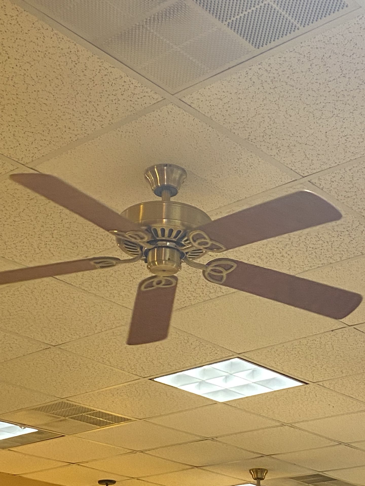 Ceiling Fan 