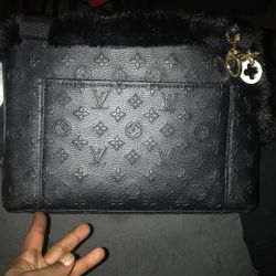 Authentic Louis Vuitton Dog  Carrier Tote
