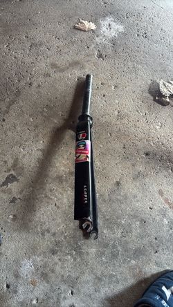 Leader fork for bike