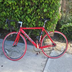 TREK Road bike