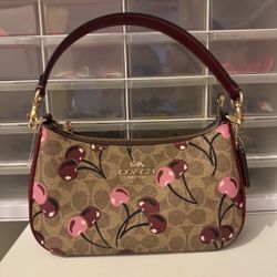 Coach Terri Cherry Bag 