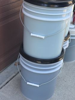 5-Gallon gain