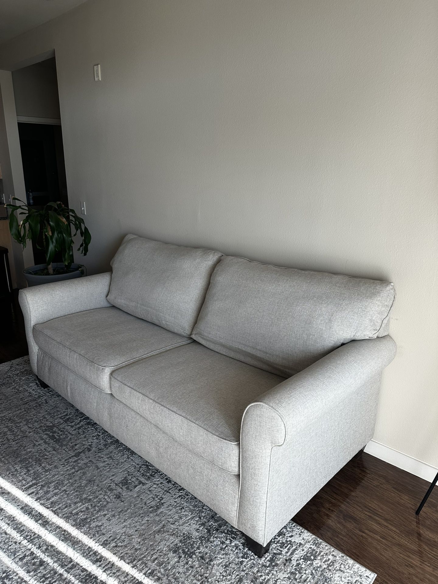 Love Seat Style Couch