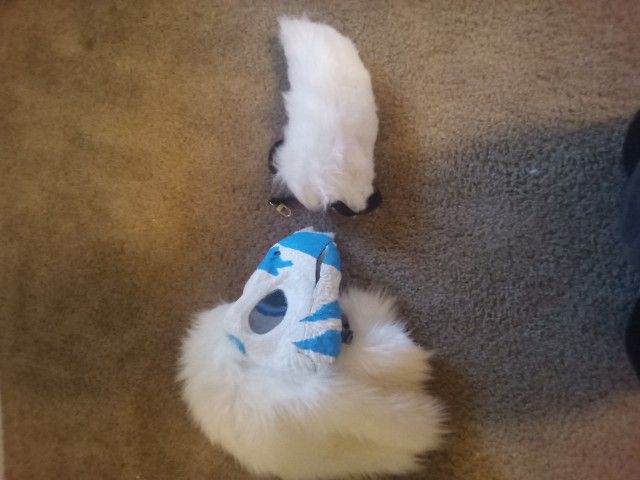 Bird Fursuit Head and Tail