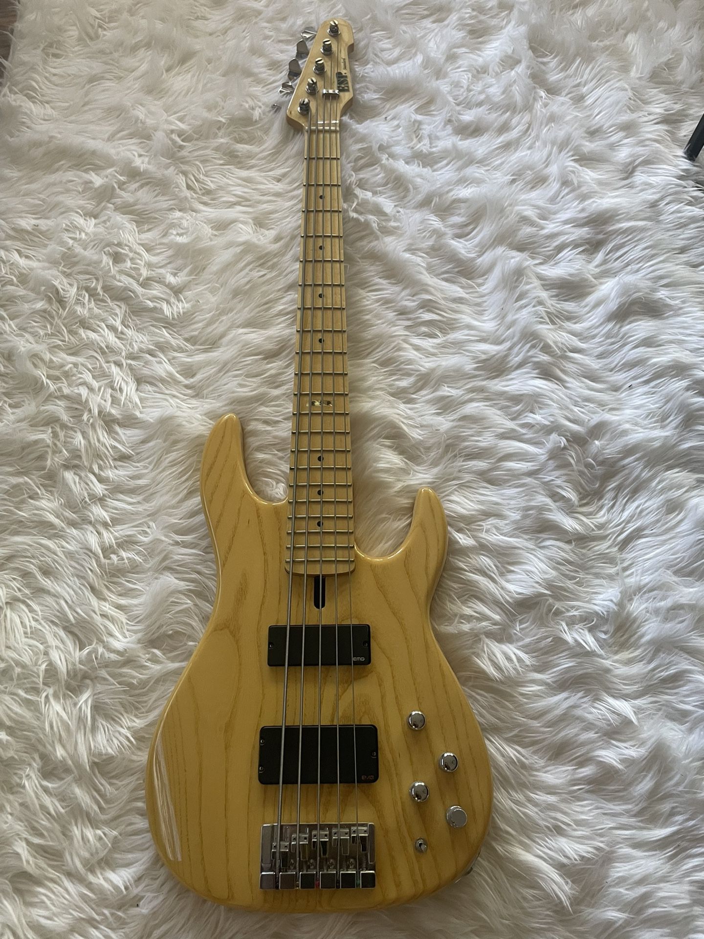 ESP Surveyor 5 String Bass