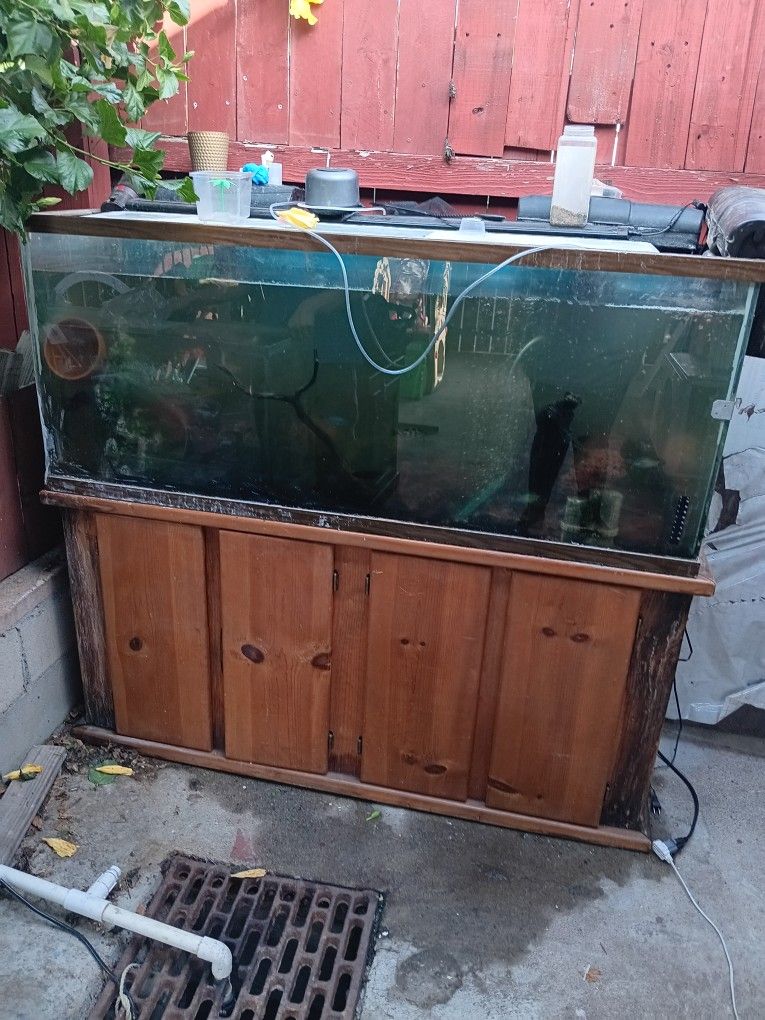 125 Gallon Fish Tank