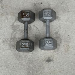 25lb Dumbbells 