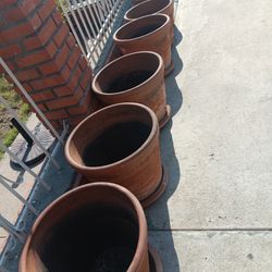 Plant Pots
