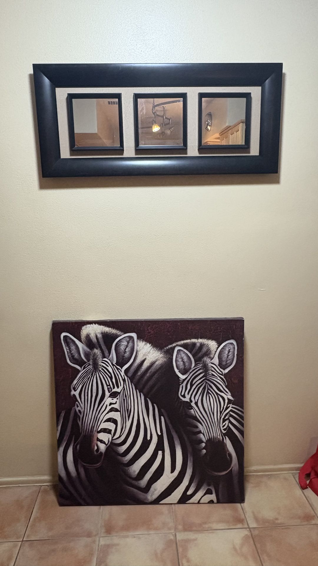 Modern Zebra Wall Art / Canvas Print Mirrors – Great Condition