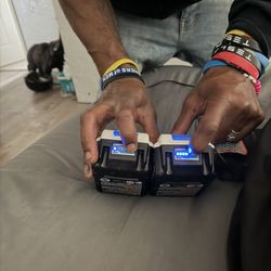 Electric Batteries For Weedwhacker