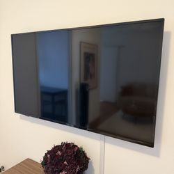 InsigniaTM 55" F30 Series 4K UHD LED Smart Fire TV + Mount