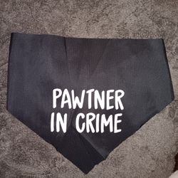 Pet Bandana 