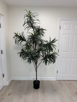 Faux Plants