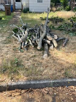 Free wood UPDATED 7/19
