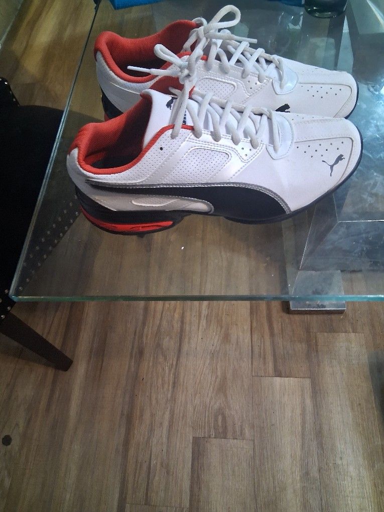 Pumas 