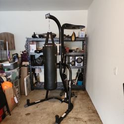 Everlast Dual Station/Heavy Bag/Speed Ball