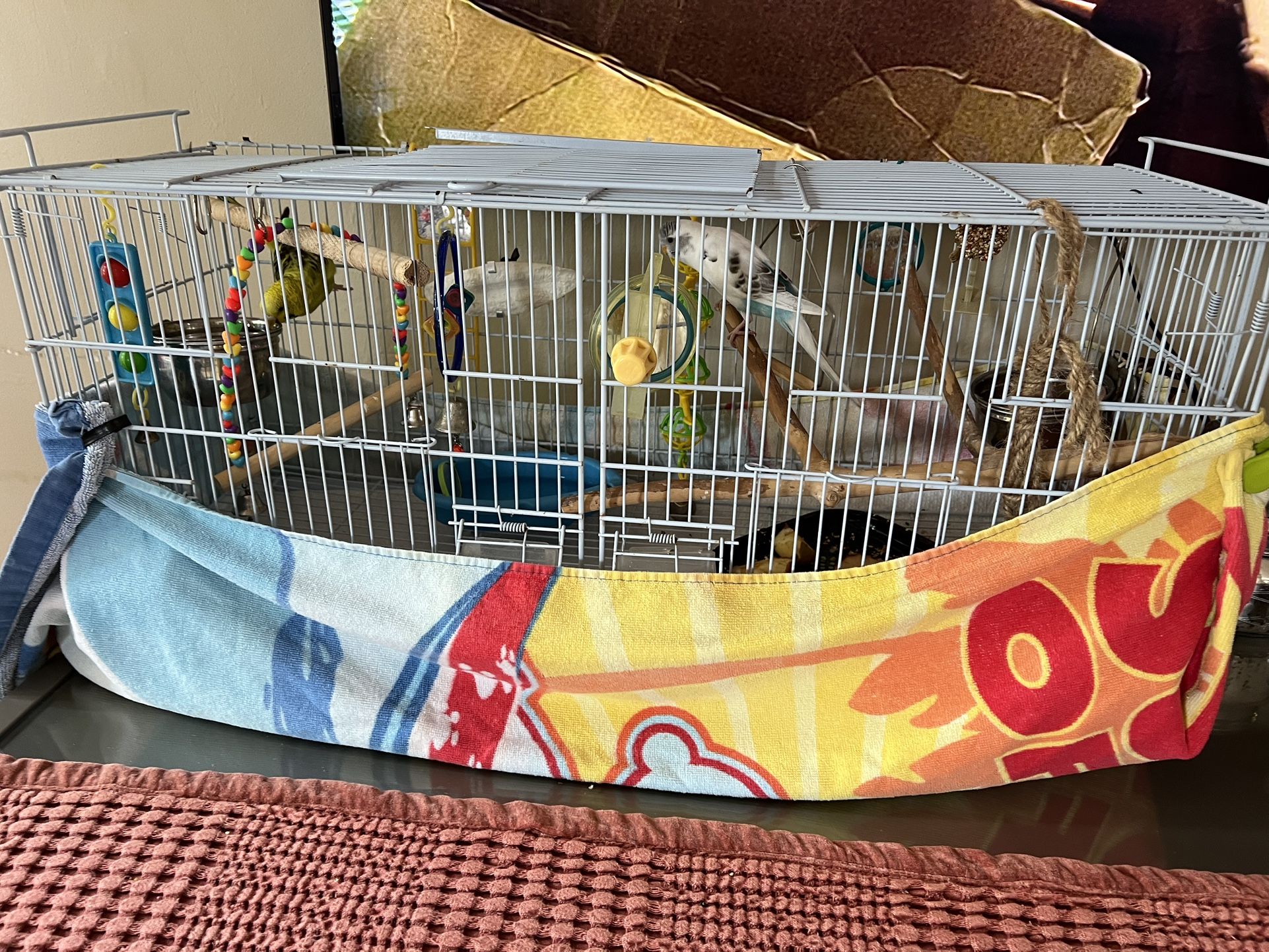 2 Parakeets And Cage 30” long by 14” height x 11.5 wide
