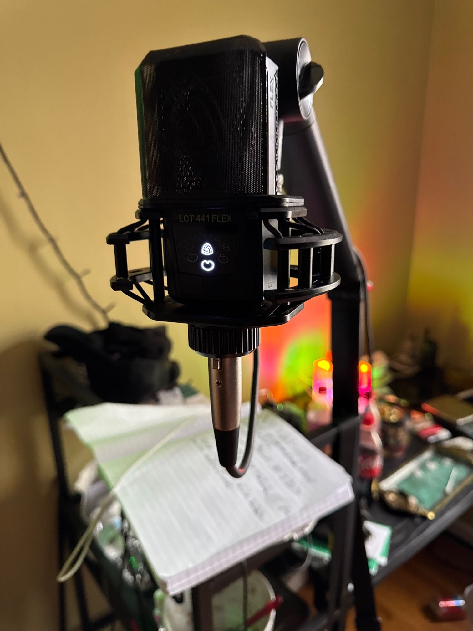 Studio Mic and Audio Interface