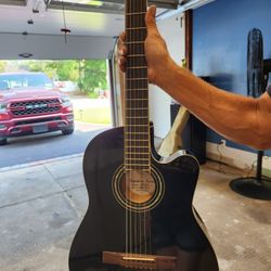 Signature Series Guitar 