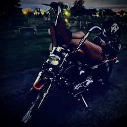 Harley Davidson Sportster Custom 1200xl Thumbnail