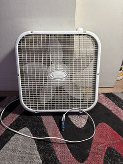 Fan
