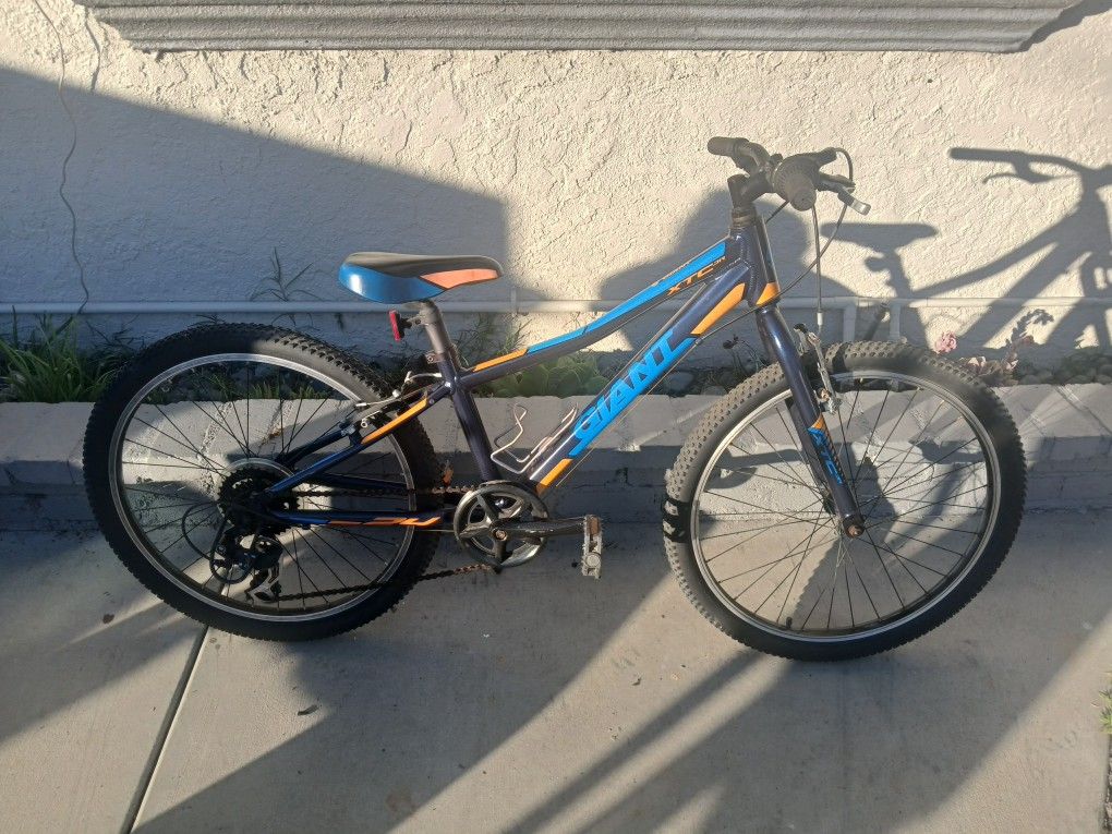 Boy's 24" Giant Xtc Jr Bike 