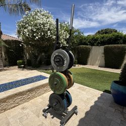 Rubber Coated Olympic Plates, Squat Rack, Barbells, Weight Tree
