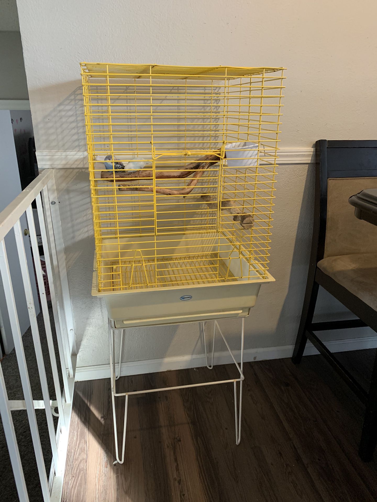 Bird Cage with stand