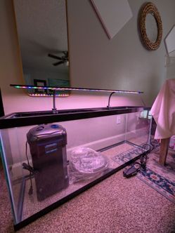 55 Gallon fish tank