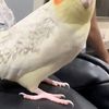 Kiki