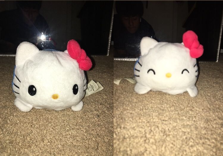 Hello Kitty Turtle Plushie 