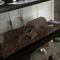         55. Gal Tank. 