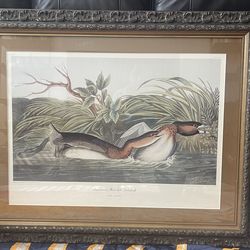 Prints with frame (both included)