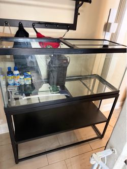 75 gallon tank