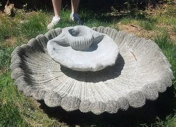 Old foundation or bird bath