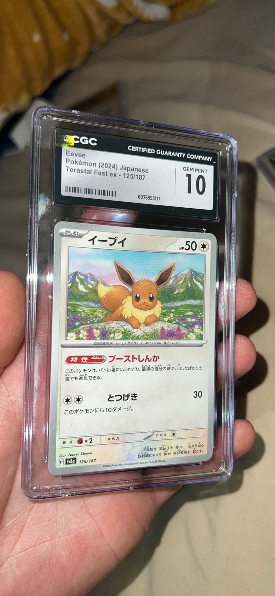 Pokémon Eevee (2024) Japanese Terastal Fest ex - 125/187  CGC slab