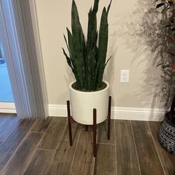 Planter