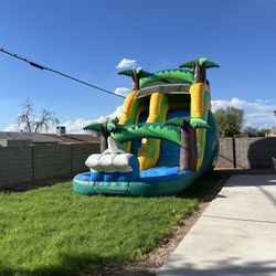 WATERSLIDE FOR SALE 