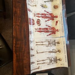 Posters