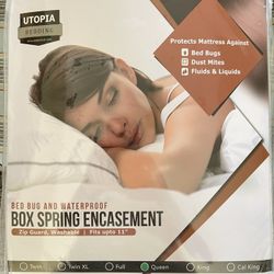 Queen Box Spring Encasement