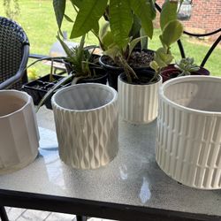 Pots And Plants For Sale