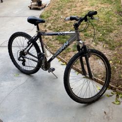 Schwinn Bicycle 