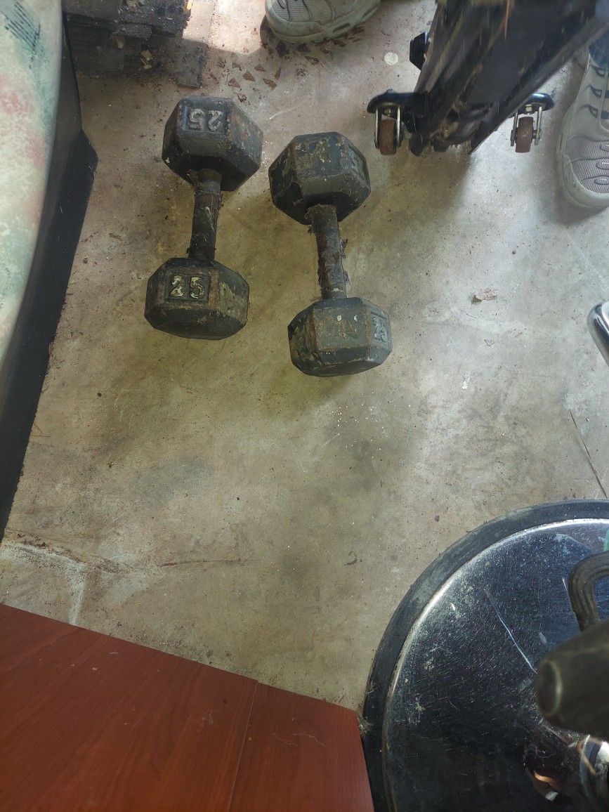 25 Lb Hand Weights