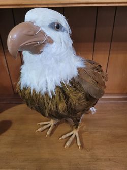 Vintage Decorative art bald Eagle real feathers Figurine statue