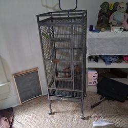 Bird Cage 