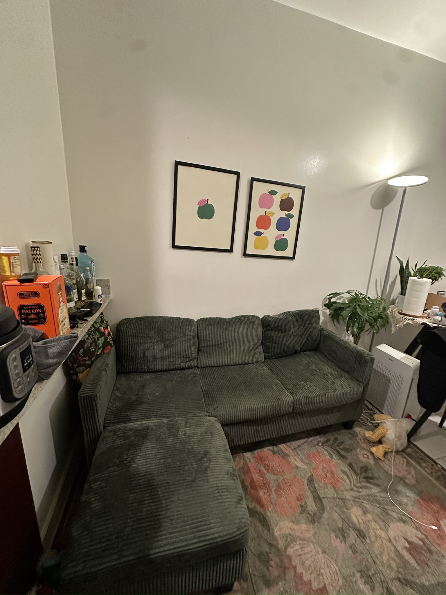 Green Couch — Like New, Pet-Friendly Fabric