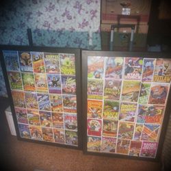 2  big framed pictures