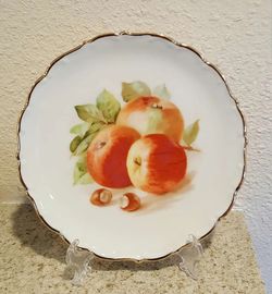 Schumann Arzberg Bavaria plate Germany