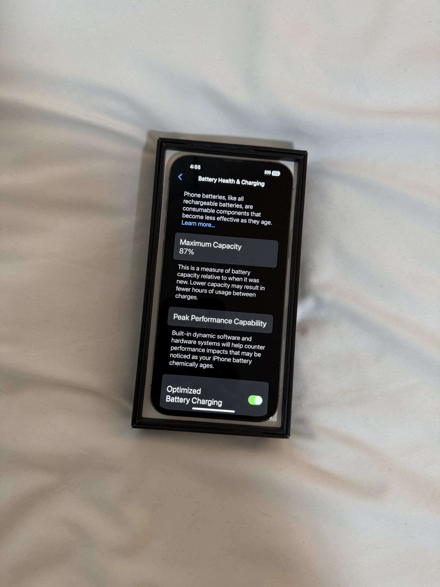 Apple 13 Pro max Blue